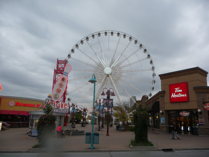 The merry-go-round